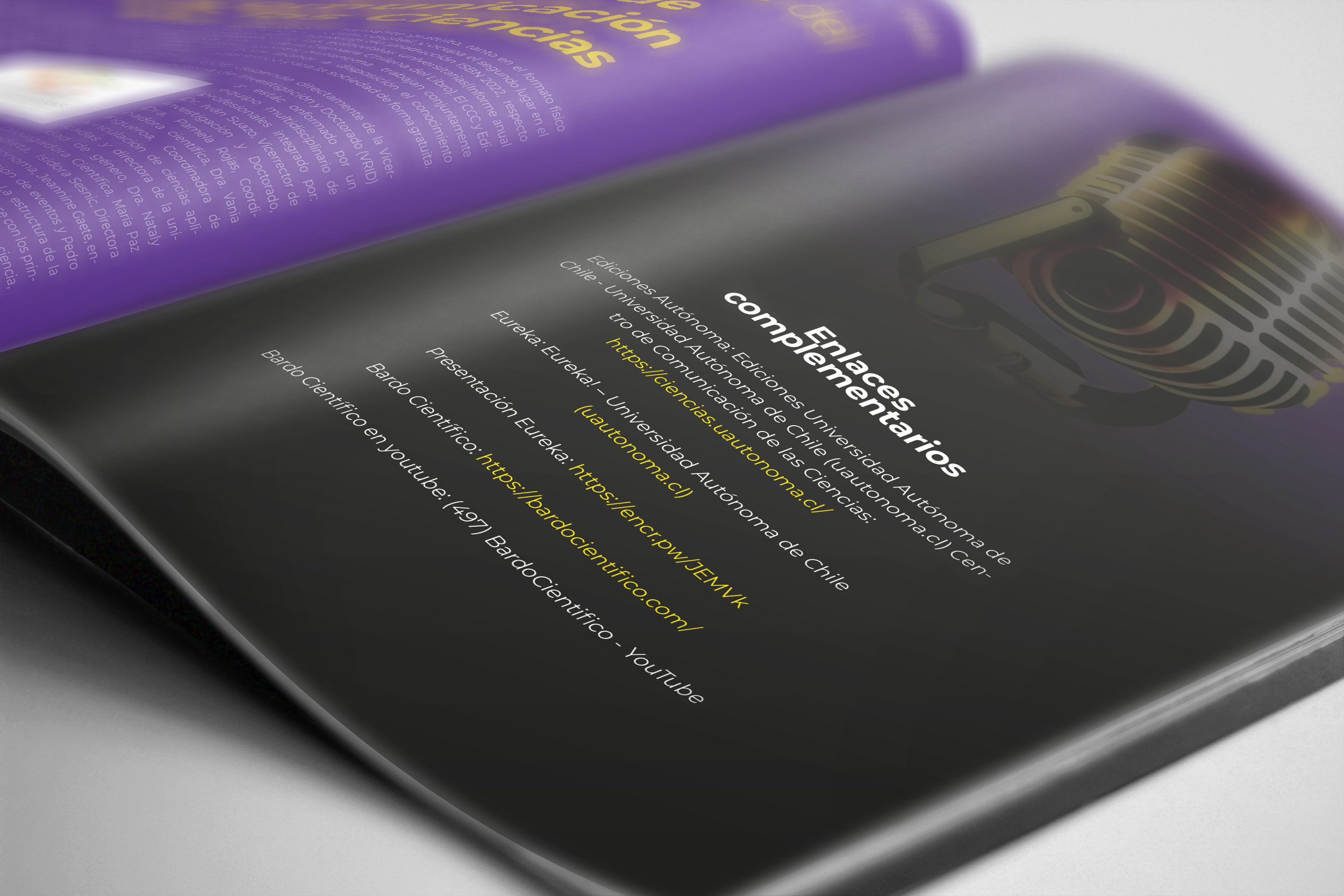 Captura de pantalla de un wireframe o prototipo